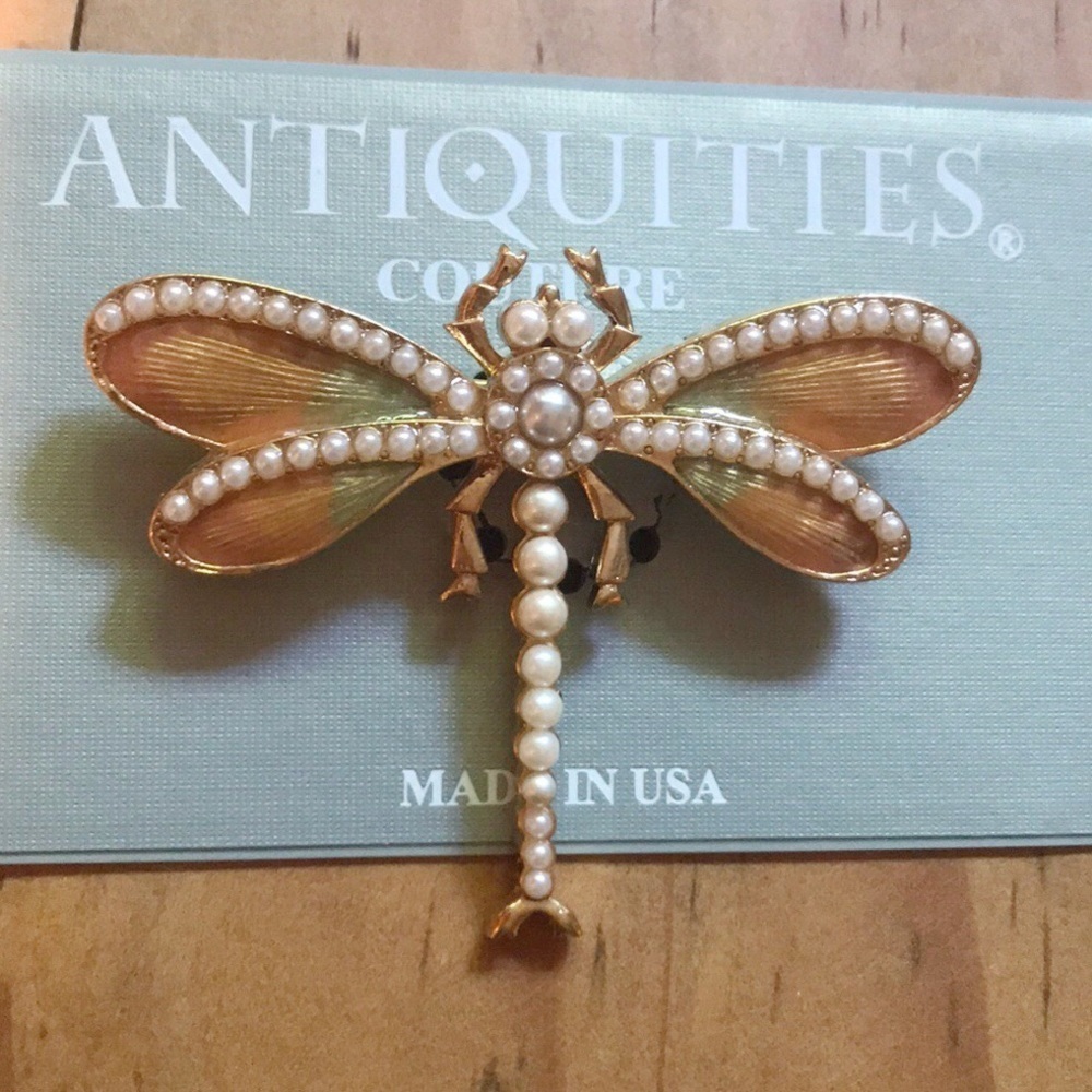 Dreamy Dragonfly Brooch